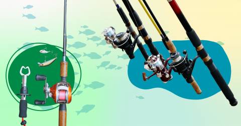 The Best 2 Piece Baitcasting Rods For 2025