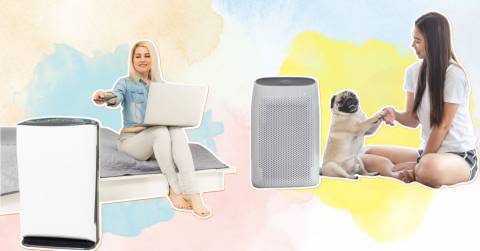 The Best Air Purifier For Dust And Mold In 2023