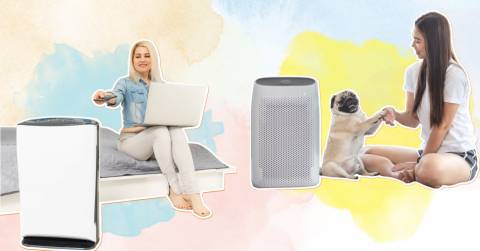The Best Air Purifier For Dust And Mold In 2025