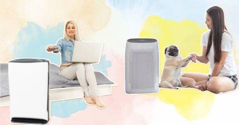 The Best Air Purifier For Dust And Mold In 2024