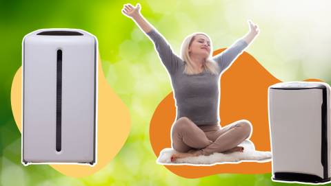 The Best Air Purifier For Dust Mite Allergy In 2025