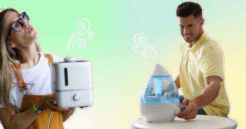 The Best Allergy Humidifier For 2024