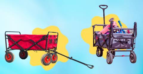 The 10 Best Beach Carts For Sand, Tested And Researched