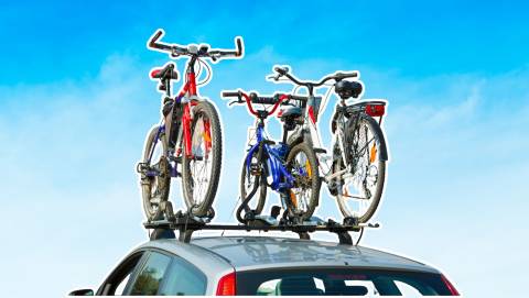 The 10 Best Bike Carriers Of 2024, Researched By Us