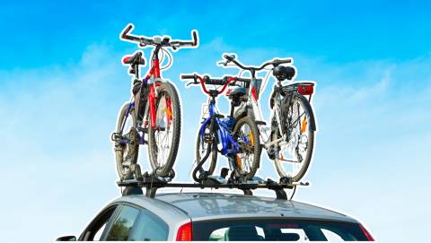 The 10 Best Bike Carriers Of 2025, Researched By Us