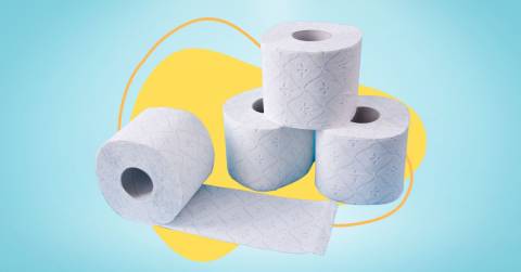The 10 Best Camping Toilet Paper, Tested And Researched