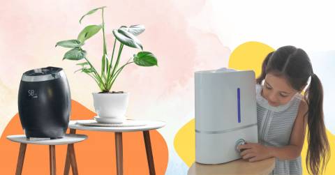 The 10 Best Personal Humidifiers, Tested And Researched