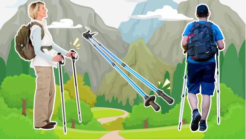 The Best Value Trekking Pole For 2024