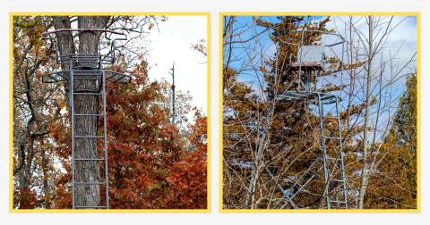 The Best 2 Man Tree Stand For 2025
