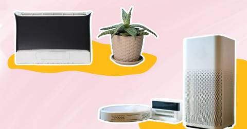 The Best Air Purification System For 2024