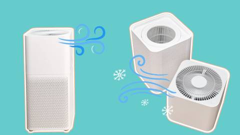 The Best Air Purifier For Apartments In 2025