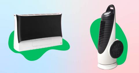 The Best Allergy Filter For 2025