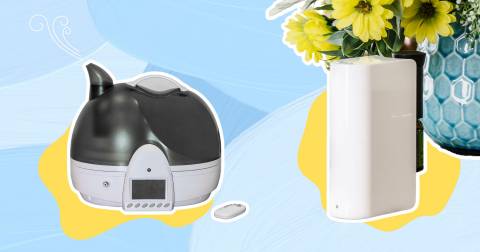 The Best Budget Humidifier For 2025