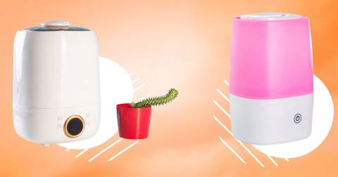 The Best Large Humidifiers For 2025