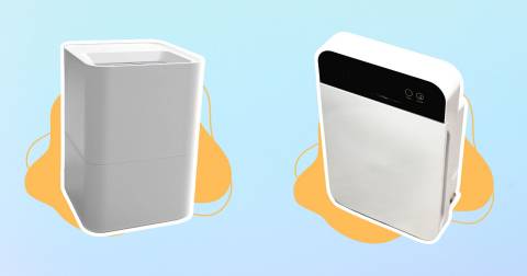 The Best Pet Air Filter For 2025