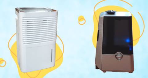 The Best Air Purifier For Living Room In 2025