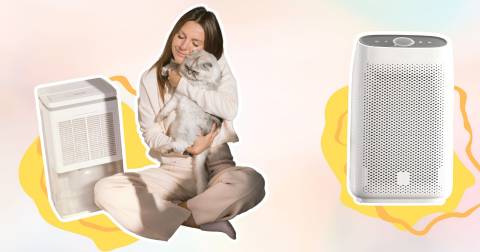 The Best Air Purifier For Mold And Allergies In 2024