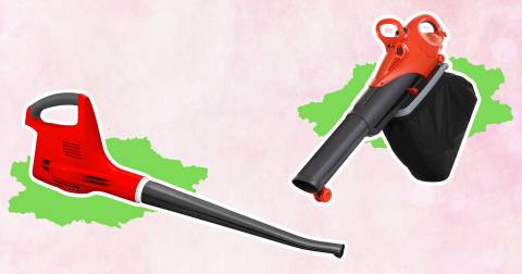 The 10 Best Ego Leaf Blower Of 2024, Tested By CampFireHQ