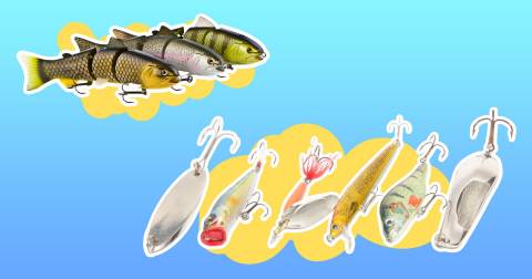 The Best Plastic Lures For Bass In 2024
