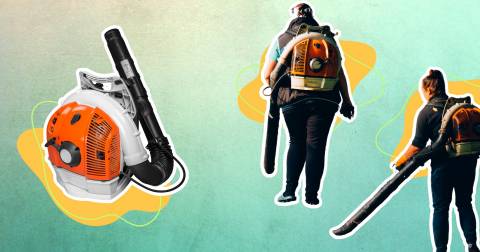 The 10 Biggest Leaf Blower Of 2025, Tested By CampFireHQ