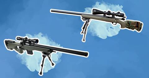 The Most Powerful Pellet Rifle In 2025: Top Picks And FAQs