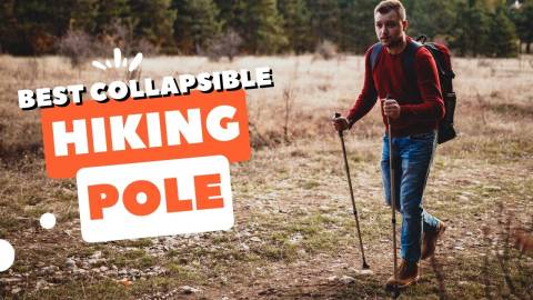 Best Collapsible Hiking Pole Of 2024: Top-rated And Buying Guide