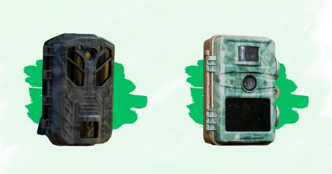 The Best Trail Camera With Audio For 2025
