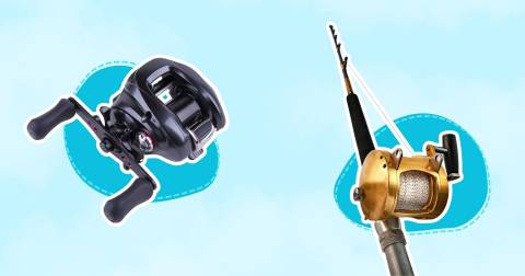 The Fishing Spinning Reels Made In Usa For 2024