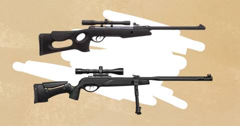 The 10 Most Accurate Gamo Air Rifle, Tested And Researched