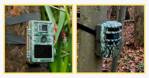 The Trail Camera Made In Usa For 2025