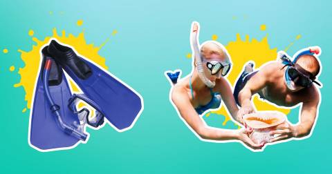 The Best Snorkeling In Usa For 2025