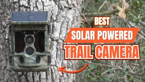 Best Solar Powered Trail Camera: Buying Guide 2024