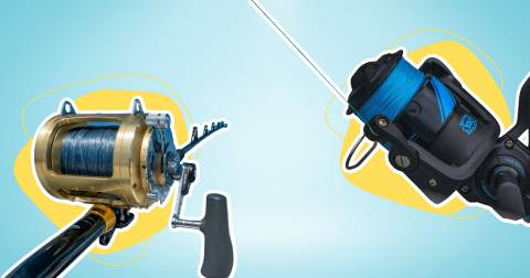 The Best Salt Water Fishing Line For 2025