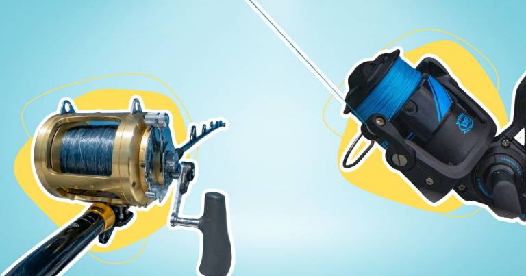 Best Salt Water Fishing Line