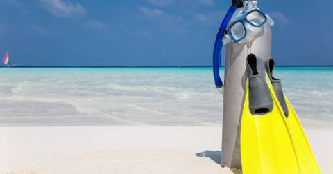 The Affordable Scuba Gear: Guides & Ranking 2024