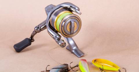 The Best 1000 Series Spinning Reel - Complete Buying Guide 2025