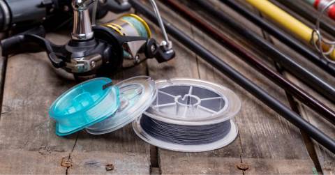 The Best 10lb Braided Fishing Line: Highly Recommended Of 2025