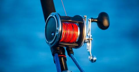 The Best 13 Fishing Reel For 2024