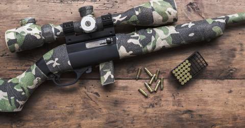 The Best 22 Caliber Air Rifle In 2024: Best Picks & Guidance