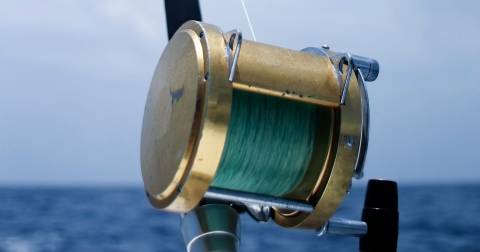 The Best 6lb Test Fishing Line For 2024