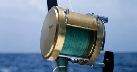 The Best 6lb Test Fishing Line For 2025