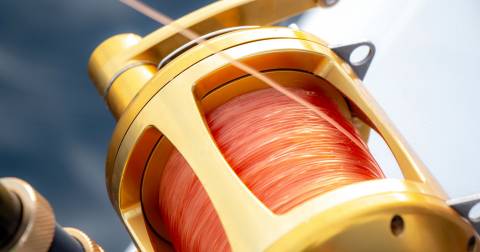 The Best 8lb Mono Fishing Line For 2025