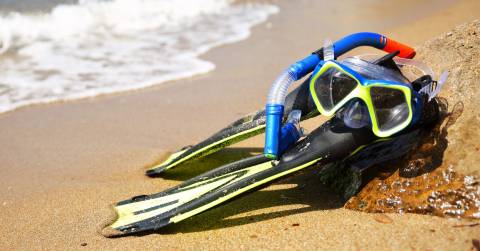 The Best Adult Snorkel Set Of 2024: Top Picks