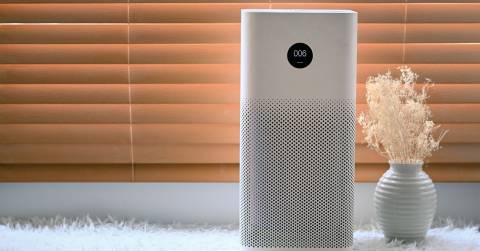The Best Air Purifiers In 2024: Top Picks And FAQs