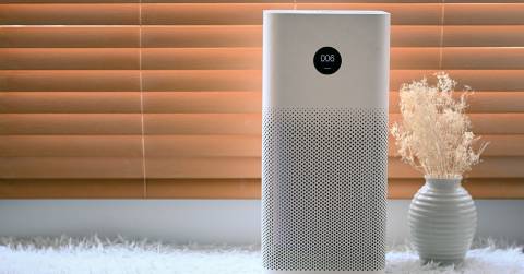The Best Air Purifiers In 2025: Top Picks And FAQs