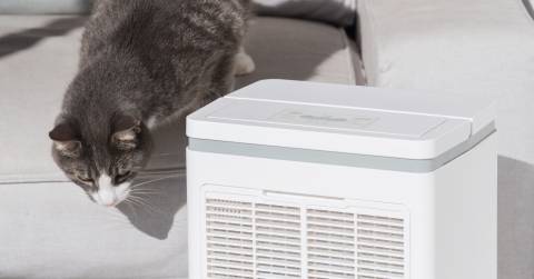 The Best Air Purifiers For Allergies And Pets In 2024