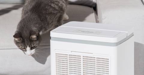 The Best Air Purifiers For Allergies And Pets In 2025