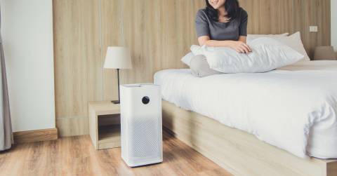 The Best Air Purifiers For Asthma: Top Picks Of 2025