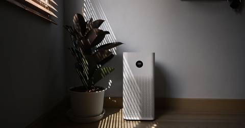 The Best Air Purifiers For Pets In 2025