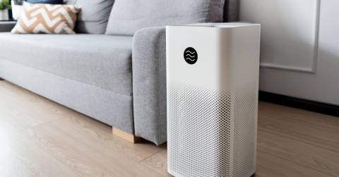 The Best Air Purifiers For Wood Smoke - Complete Buying Guide 2024